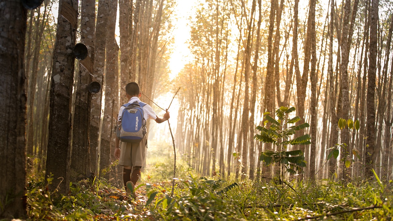 Niño con mochila cruzando un bosque tropical